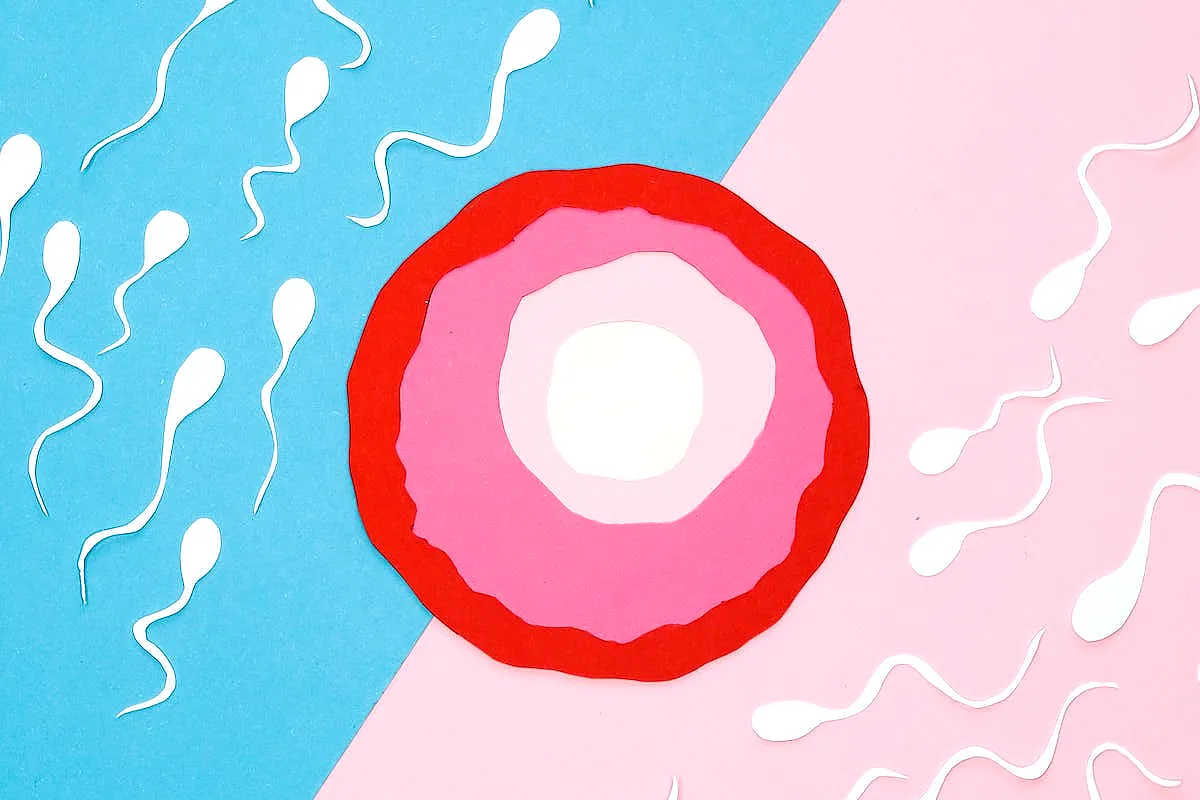 Dale vida a la esperanza: dona óvulos en Barcelona (2023)